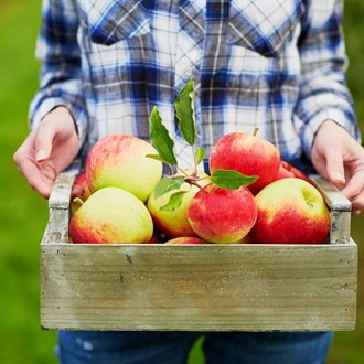 5 Foods You Should ALWAYS Buy Organic